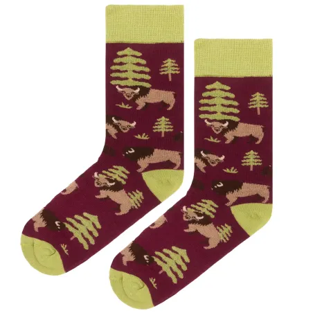 Socks organic cotton Bisons