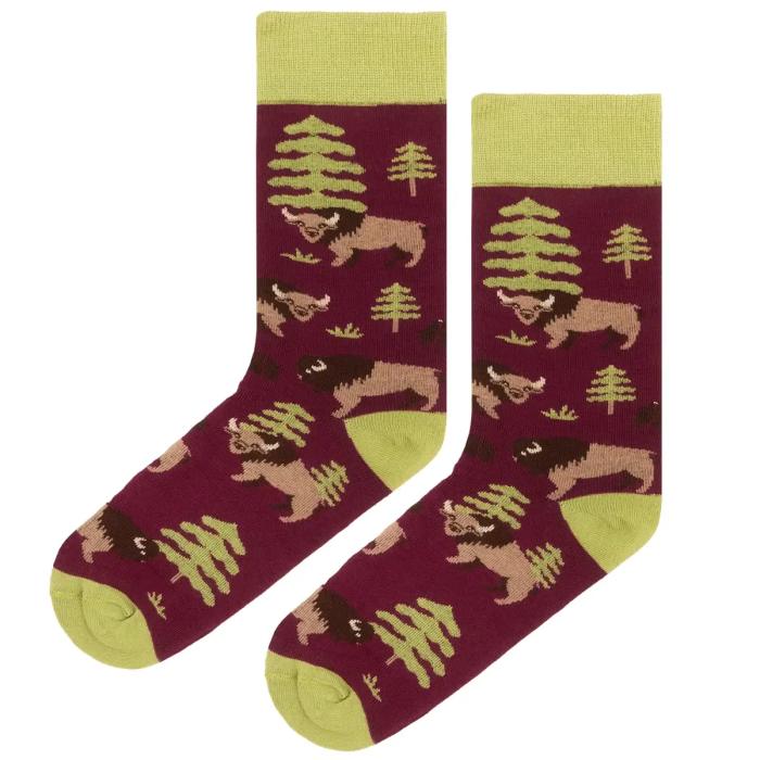 Socks organic cotton Bisons