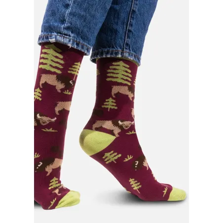 Socks organic cotton Bisons