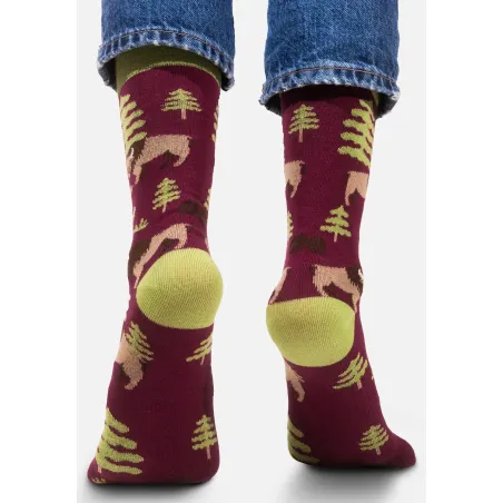 Socks organic cotton Bisons