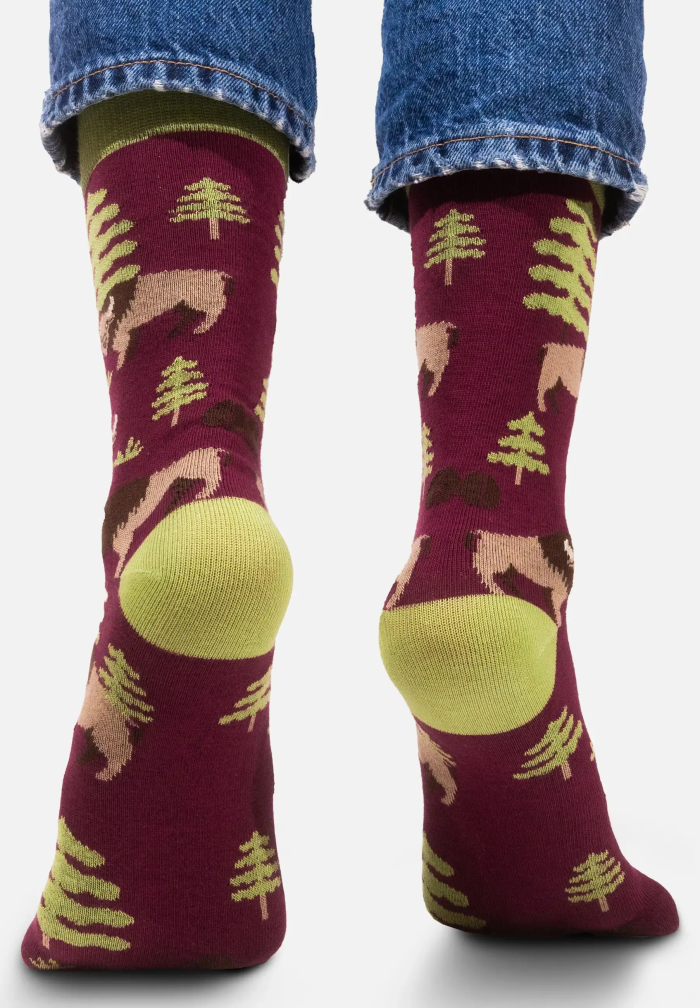 Socks organic cotton Bisons