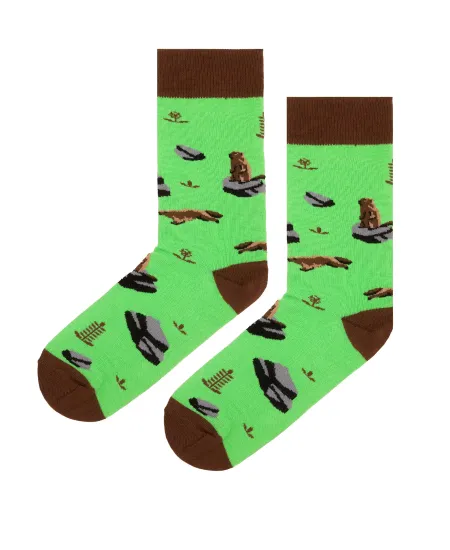 Socks organic cotton Marmot