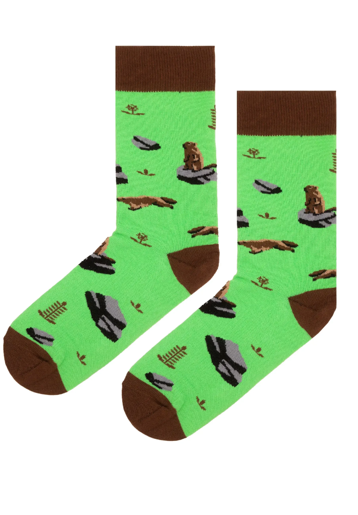 Socks organic cotton Marmot