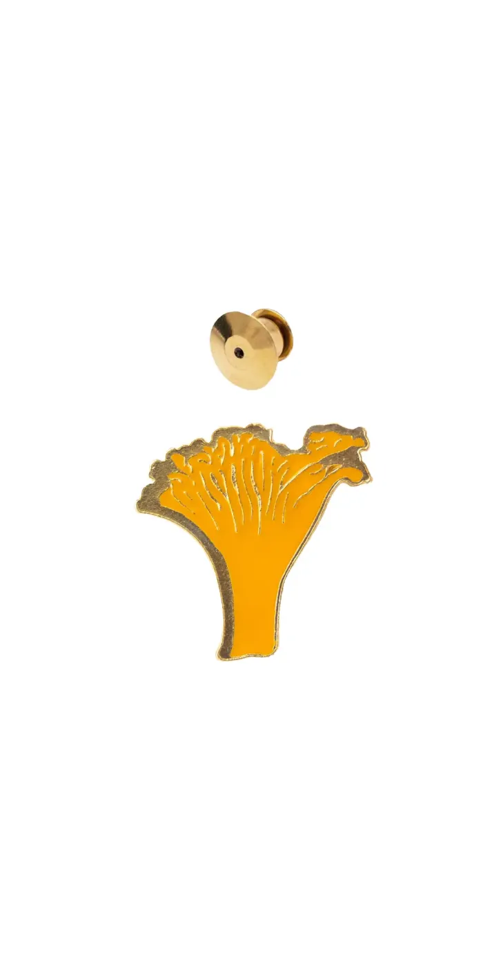 Pin grzyb Kurka