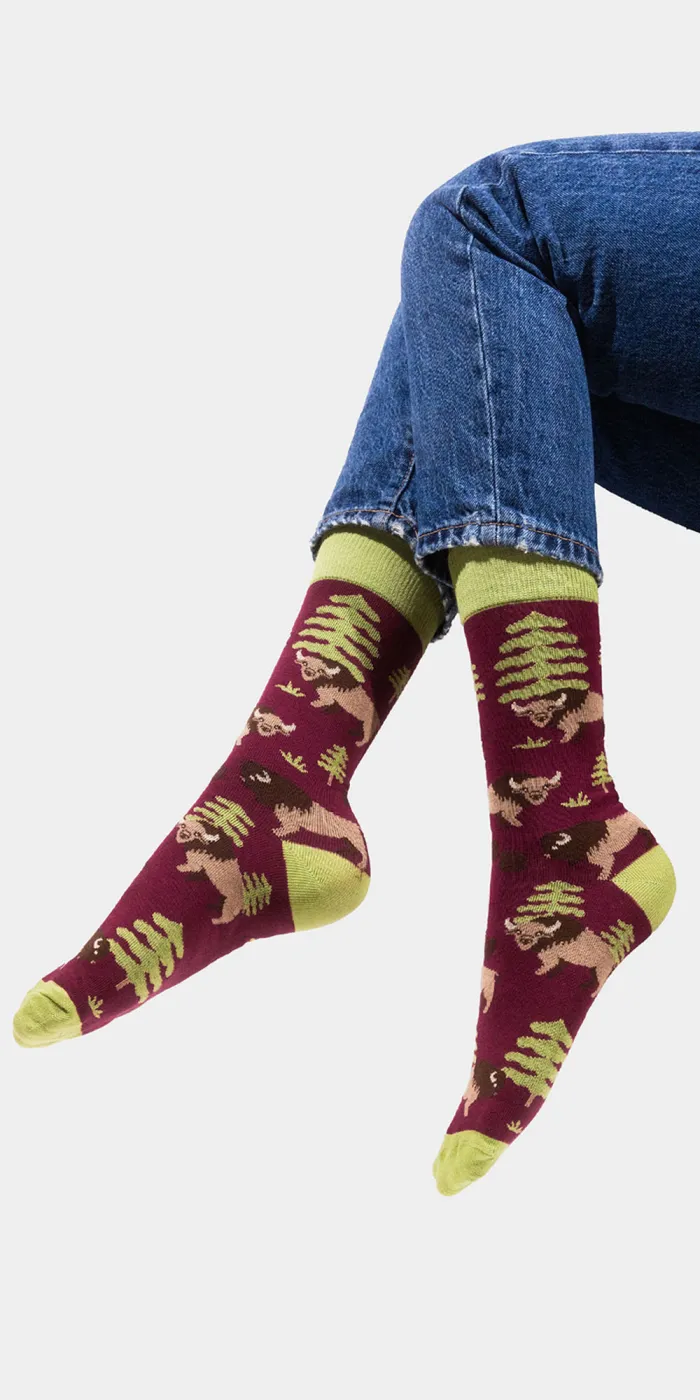 Socks organic cotton Bisons