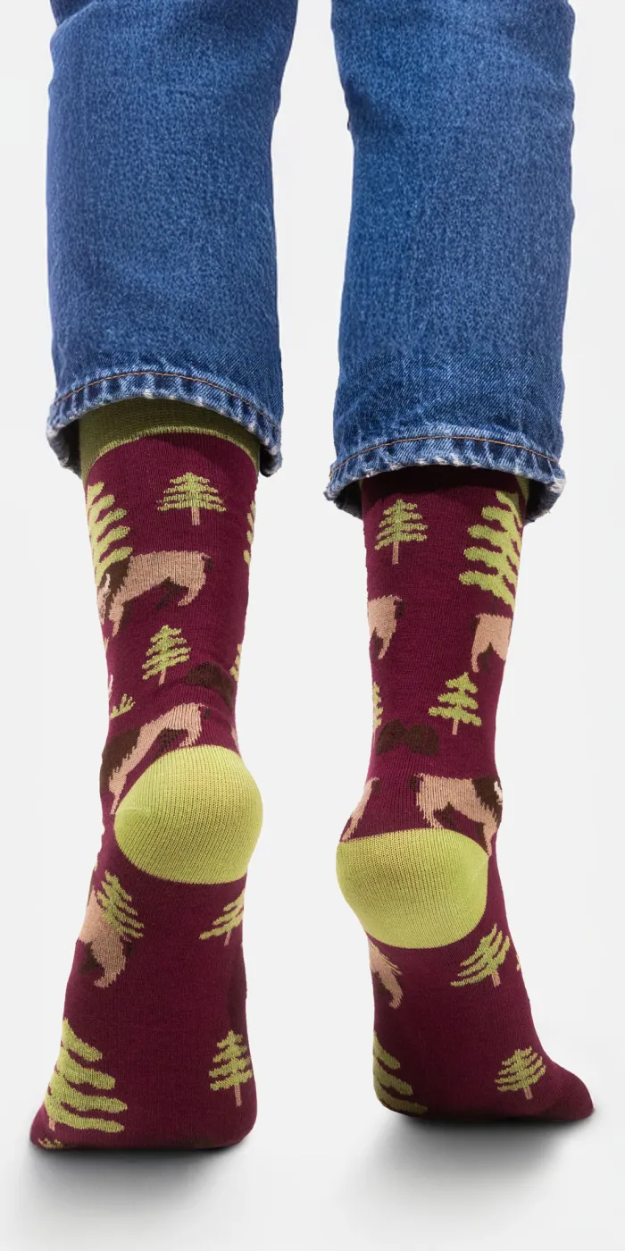 Socks organic cotton Bisons
