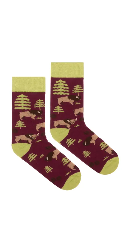 Socks organic cotton Bisons