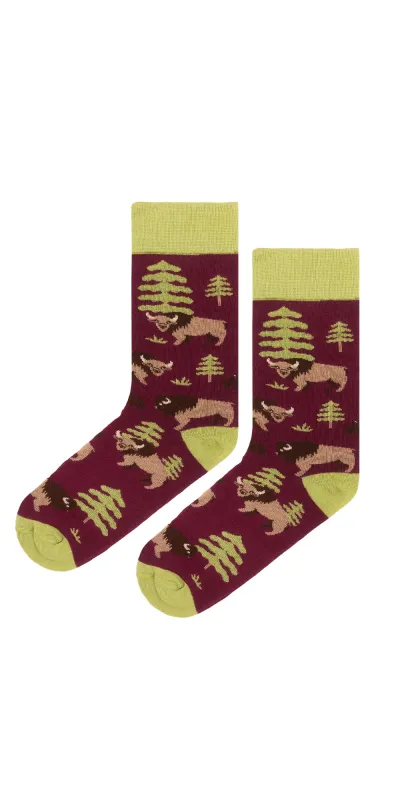 Socks organic cotton Bisons