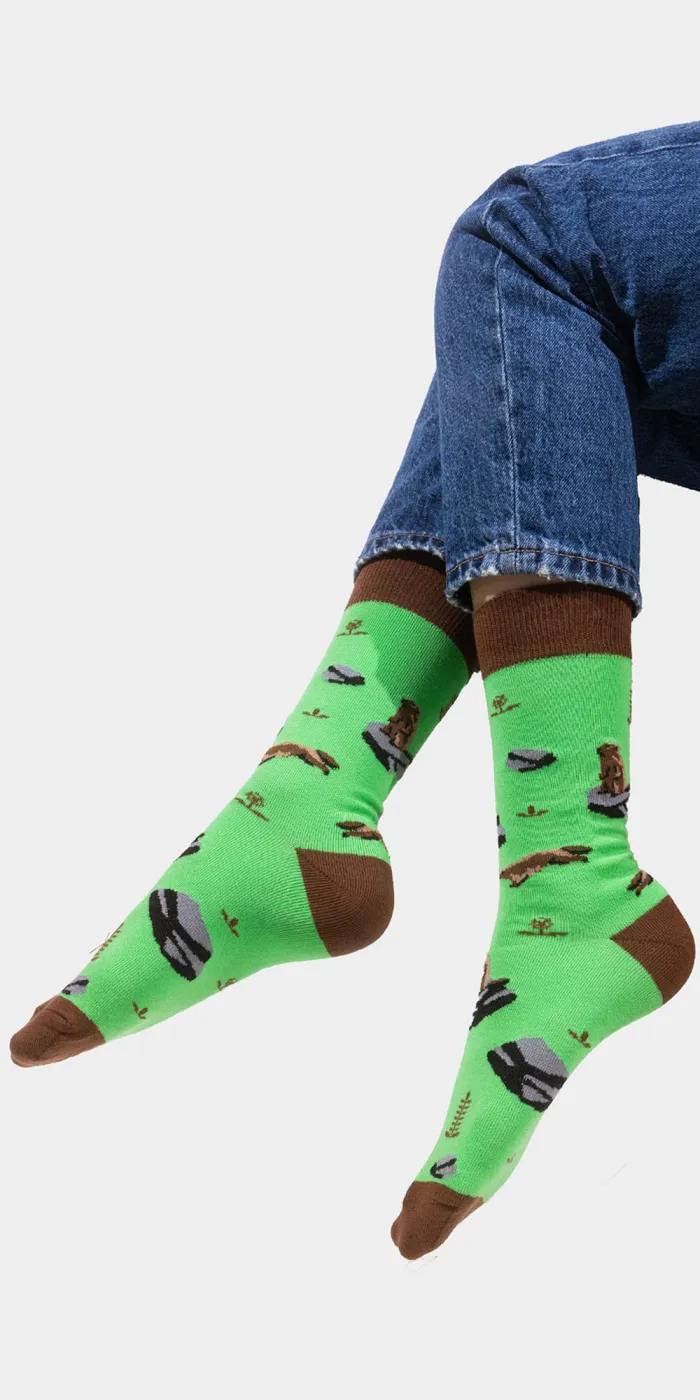 Socks organic cotton Marmot