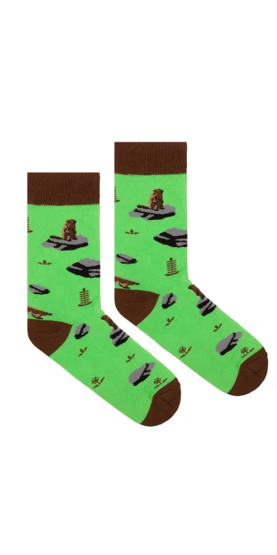 Socks organic cotton Marmot