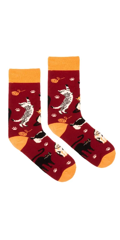 Socks organic cotton...
