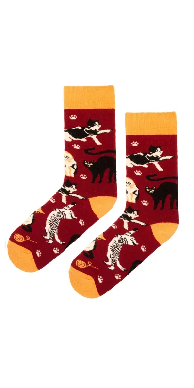 Socks organic cotton burgundy Cats