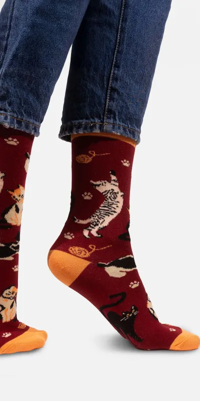 Socks organic cotton burgundy Cats