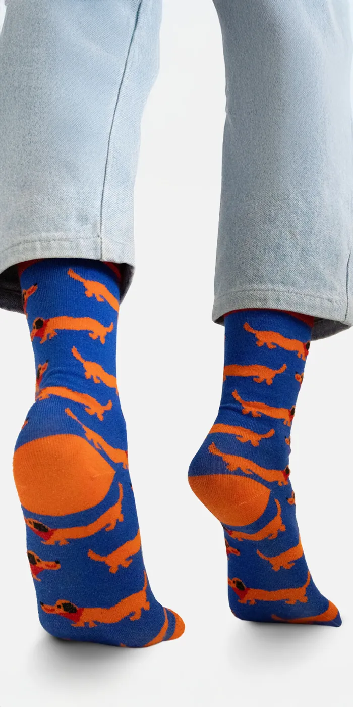 Organic cotton socks Dachshunds