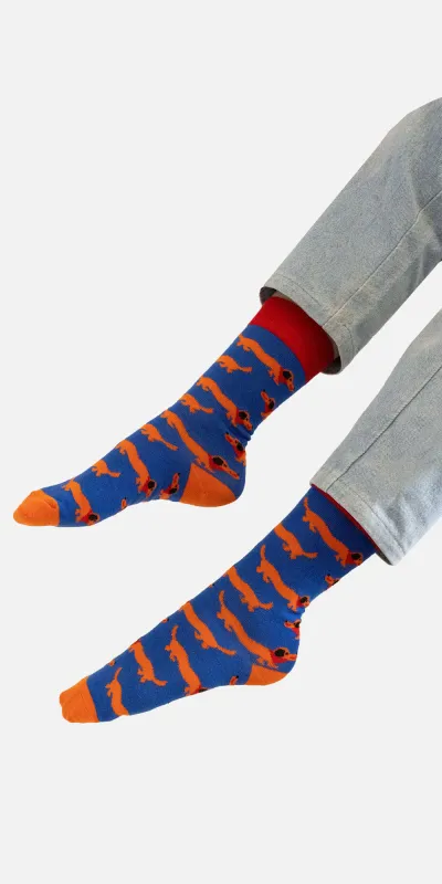 Organic cotton socks Dachshunds