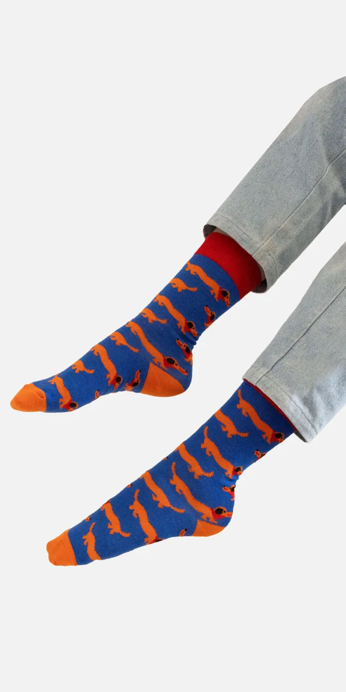 Organic cotton socks Dachshunds