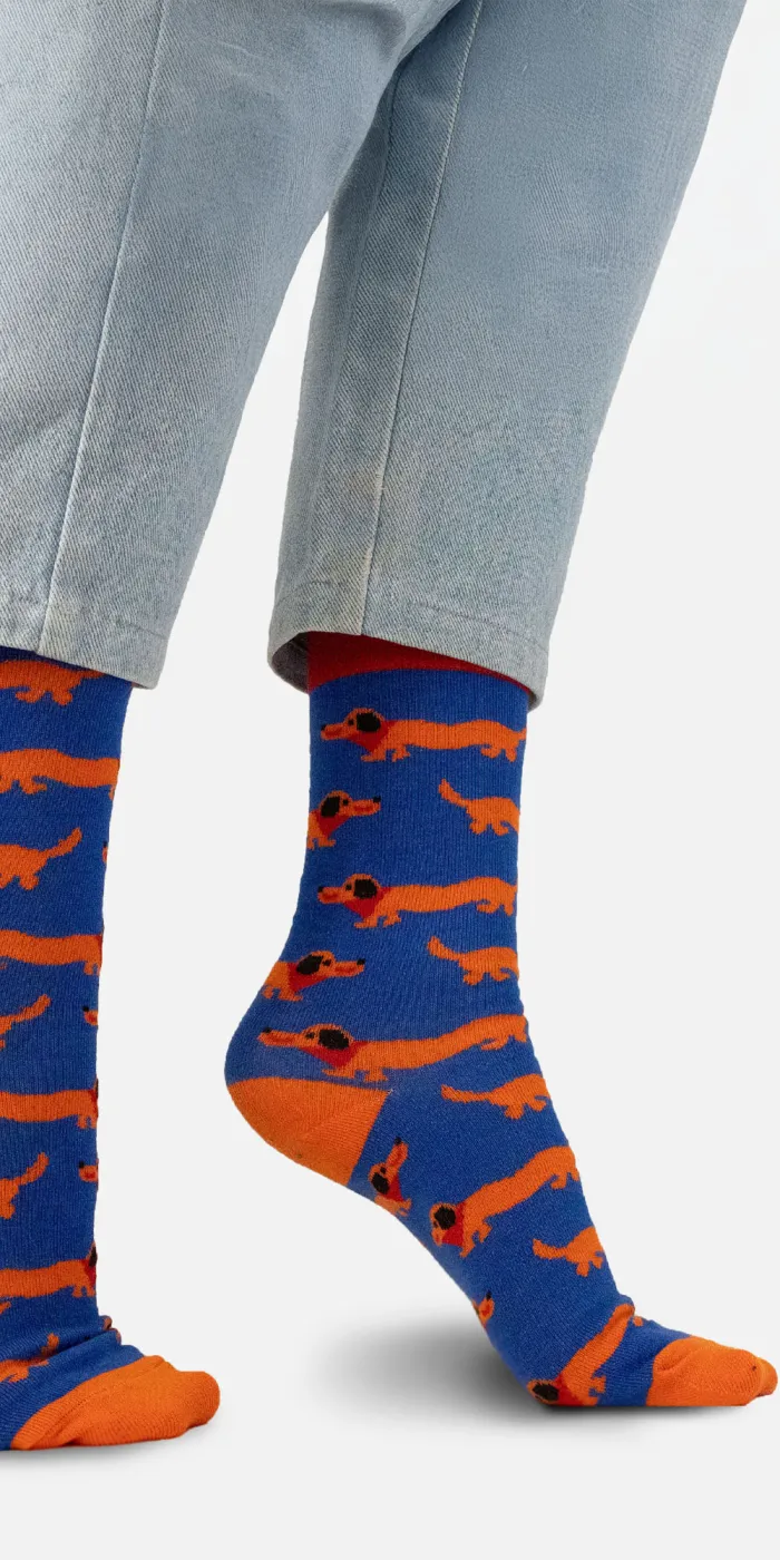 Organic cotton socks Dachshunds