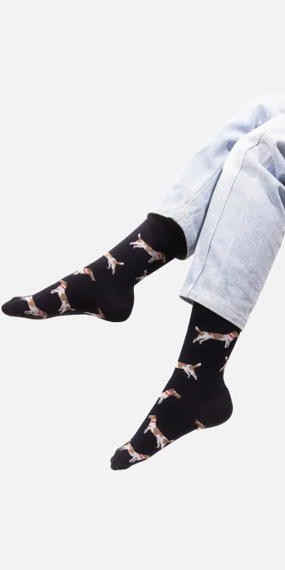 Socks Fox terriers
