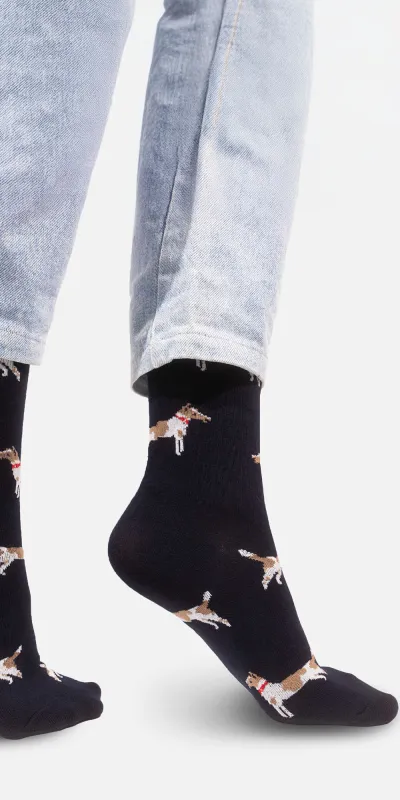 Socks Fox terriers
