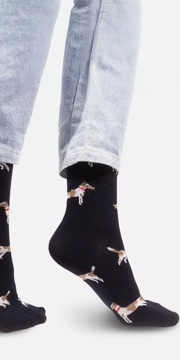 Socks Fox terriers