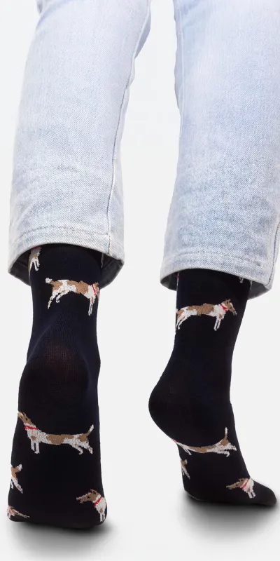 Socks Fox terriers