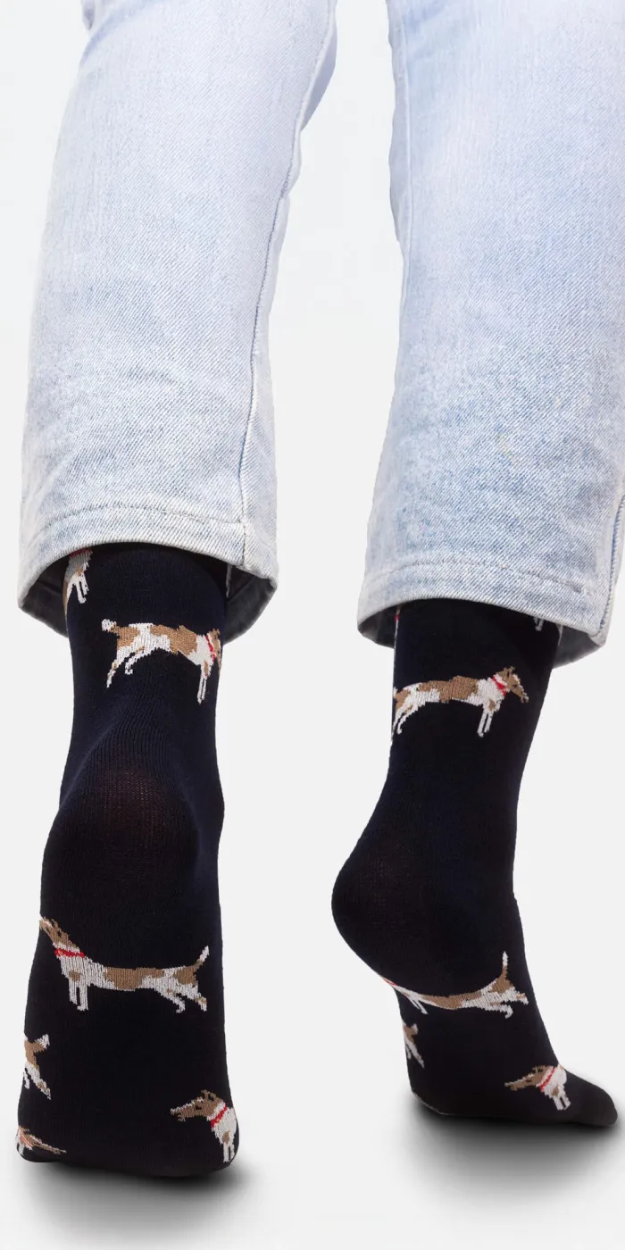 Socks Fox terriers