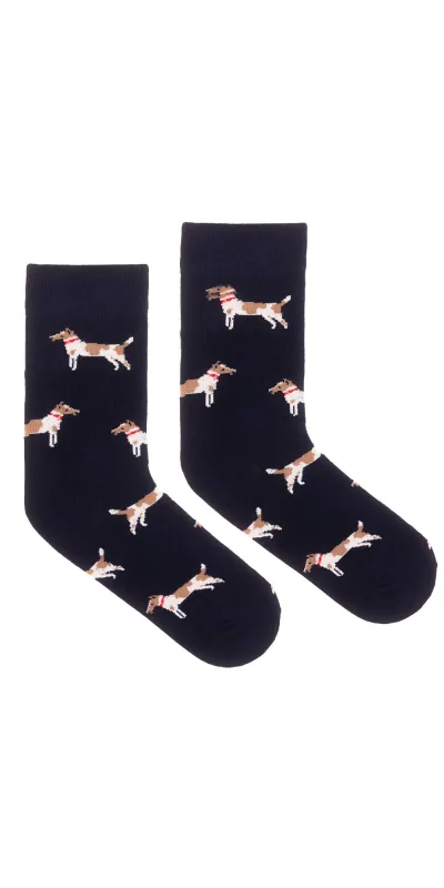 Socks Fox terriers