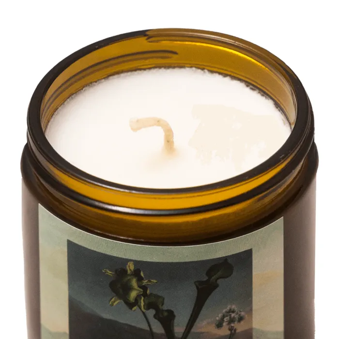 Soy candle hemp True romance